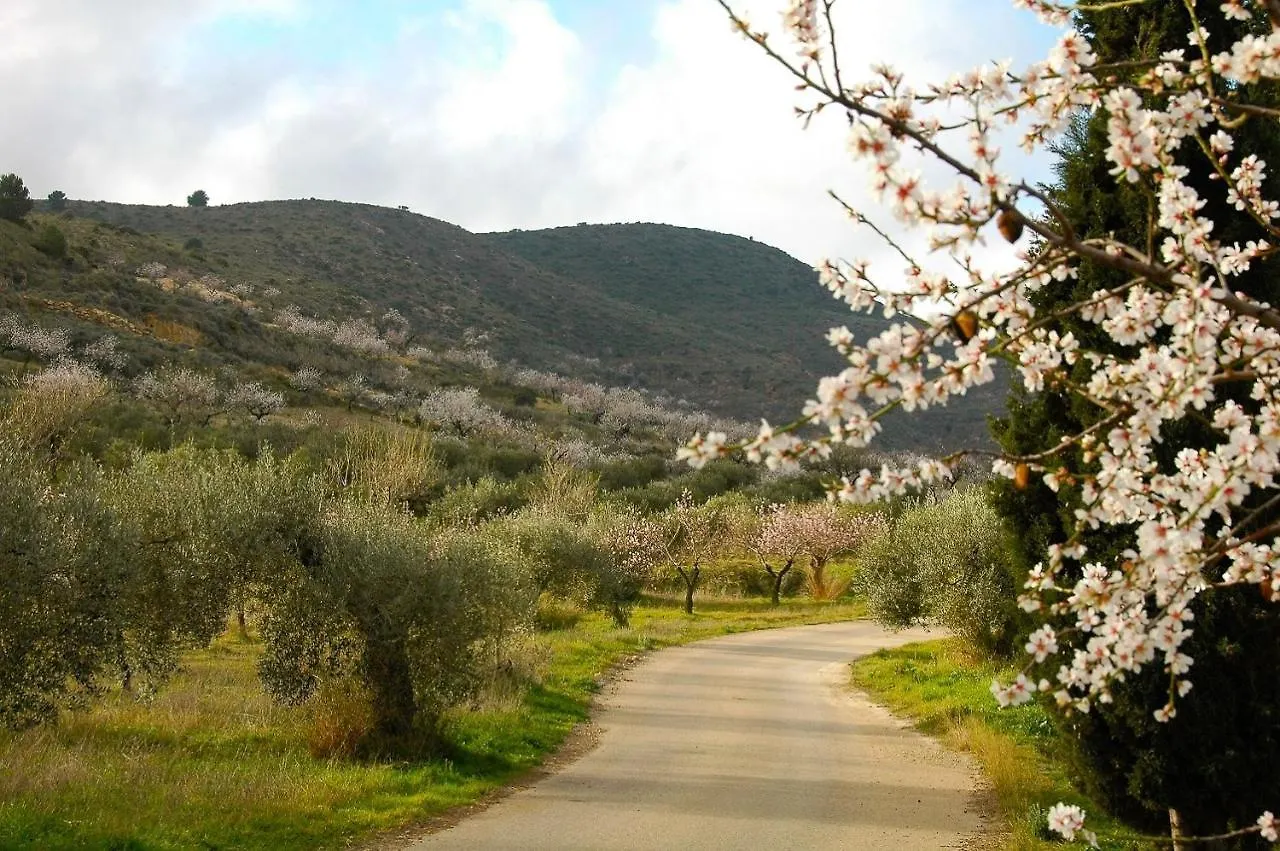 Bed & Breakfast Casa Lago Bedar